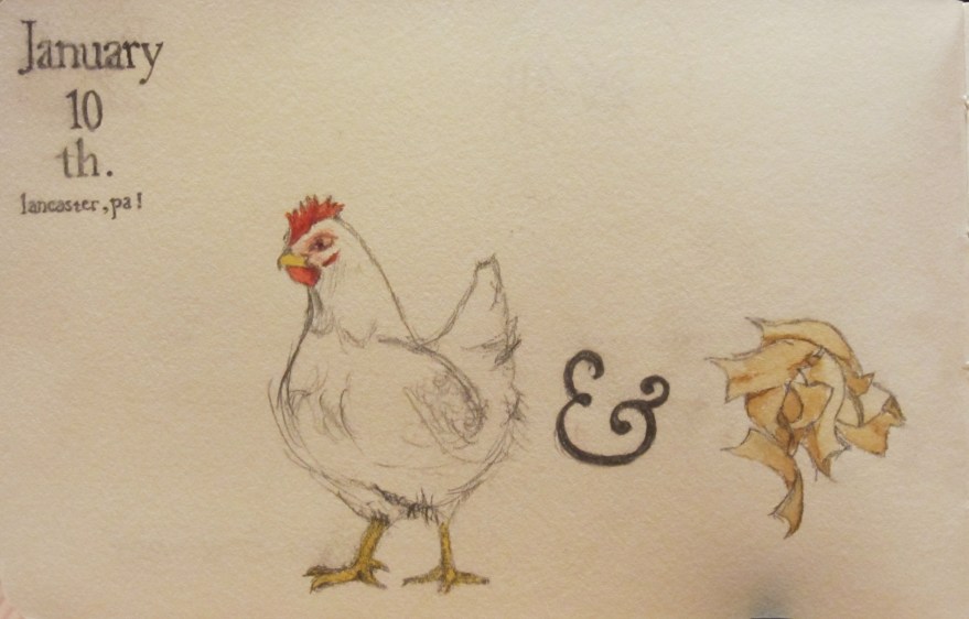 Chicken and noodles.JPG